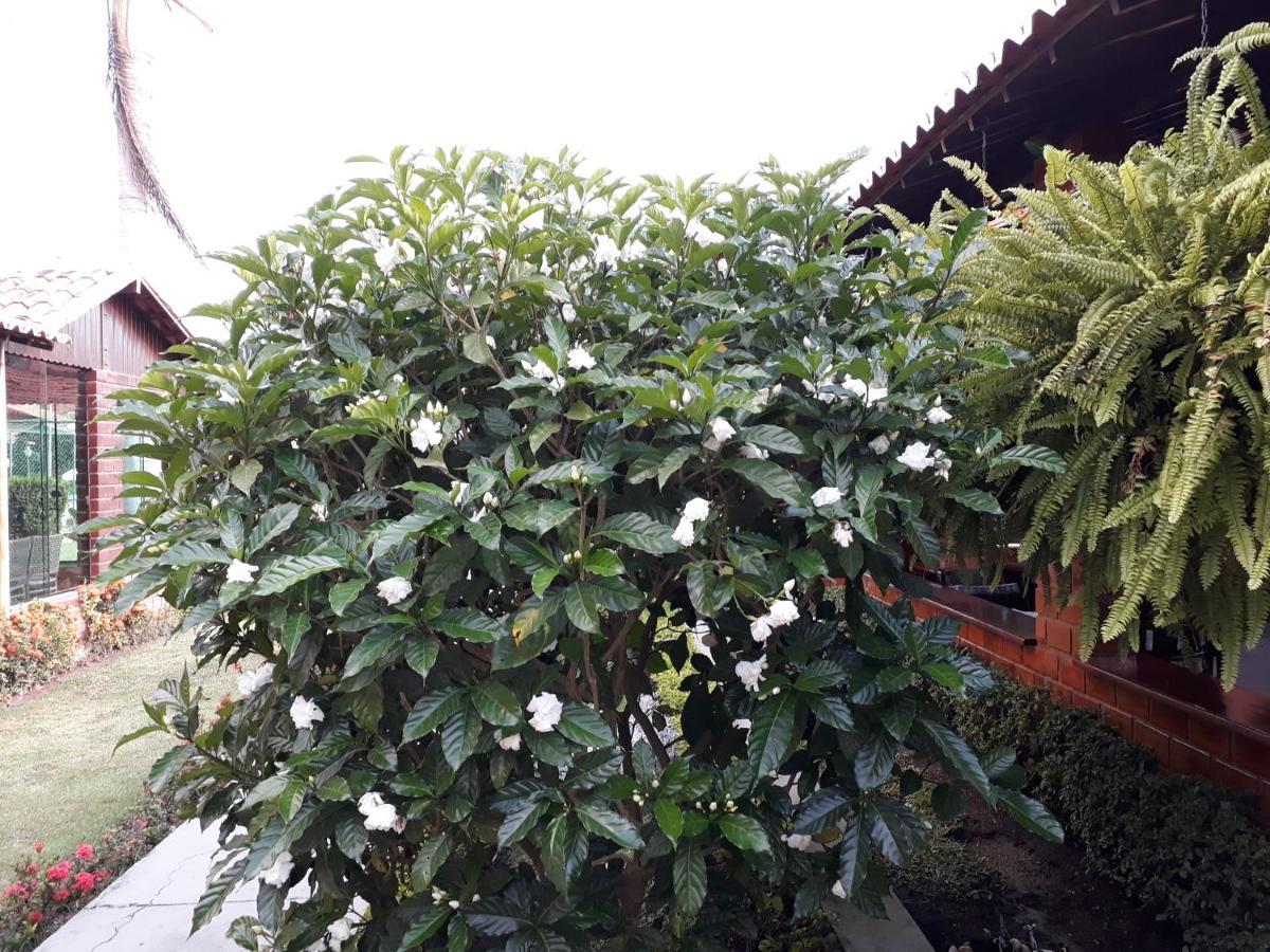 Chalé aconchegante na Serra Pernambucana - Em condomínio - Gravatá Exterior foto
