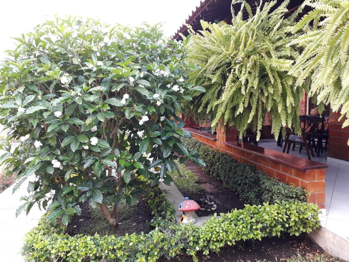 Chalé aconchegante na Serra Pernambucana - Em condomínio - Gravatá Exterior foto